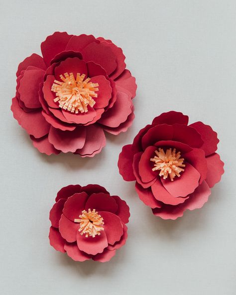 Diy Cny Decoration, Cny Decoration Diy, Peony Chinese, Cny Decoration, Chinese New Year Flower, Flower Making Crafts, Paper Peony, Diy Fleur, Chinese New Year Party