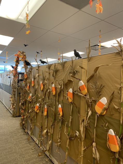 Halloween Dr Office Decor, Halloween Themed Cubicle, Cubicle Decor For Halloween, Office Decorations Halloween, Office Haunted House, Halloween Decorations Cubicle Office, Pumpkin Patch Office Decorations, Halloween Cube Decorating Ideas, Cubicle Fall Decorations