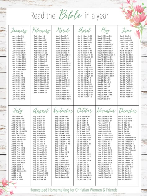 Daily Bible Reading Plan, Bible Reading Schedule, Year Bible Reading Plan, Scripture Writing Plans, Bible In A Year, Writing Plan, Bible Study Plans, Bible Study Tips, Read The Bible