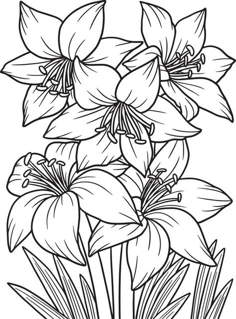 Amaryllis Flower, Flowers Coloring Pages, Printable Flower Coloring Pages, Coloring Page For Adults, Amaryllis Flowers, Flowers Coloring, Flower Stencil, Printable Coloring Book, Easy Coloring Pages