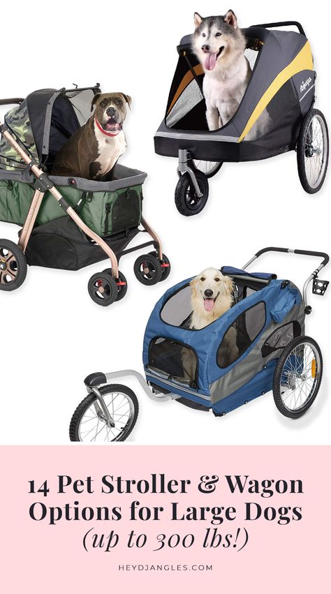 14 Pet Stroller and Wagon Options for Large Dogs (up to 300 lbs!) - Hey, Djangles. Dog Wagon, Story Development, Dog Carrier Purse, Dog Bike Trailer, Pet Strollers, Pet Things, Biking With Dog, Elderly Dogs, Dog Purse