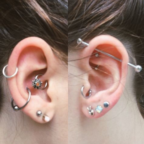 Daith Tragus Piercing, Tragus And Daith Piercing, Daith And Industrial Piercing, Conch And Daith Piercing, Ear Piercings Industrial, Tragus Daith, Ear Piercings Tragus, Tragus Conch, Industrial Piercing