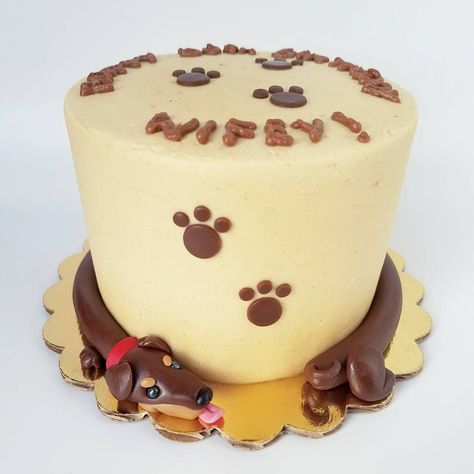 Dachshund Cake, Dog Cake, Fondant Toppers, Dachshund Love, Weiner Dog, Cakes Cupcakes, Sausage Dog, 10th Birthday, Cute Cakes