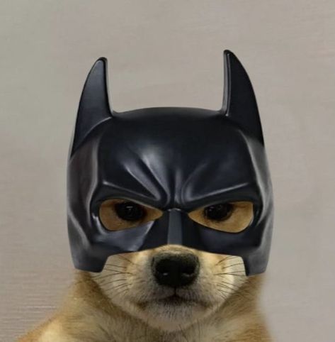 Cool Batman Pfp, Batman Cat Pfp, Batman And Spiderman Pfp, Funny Batman Pfp, Batman Funny Pfp, Cute Batman Pfp, Profile Picture Batman, Batman Pp, Batman Memes Funny