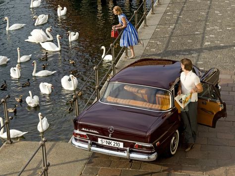 Mercedes Benz Car From Above, Mercedes Benz 200, 60s Cars, Vintage Couple, Vintage Helmet, Daimler Benz, Classic Mercedes, Mercedes Benz Classic, Mercedes Benz Cars