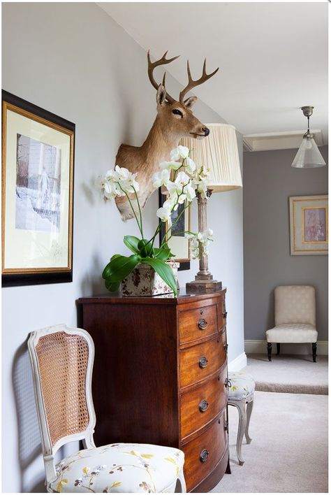 taxidermy Deer Mounts In Living Room, Deer Heads Living Room, Decorating With Deer Mounts, Deer Mount Decor, Horn Decor, Deer Head Decor, Taxidermy Decor, Designer Photography, Deer Mounts