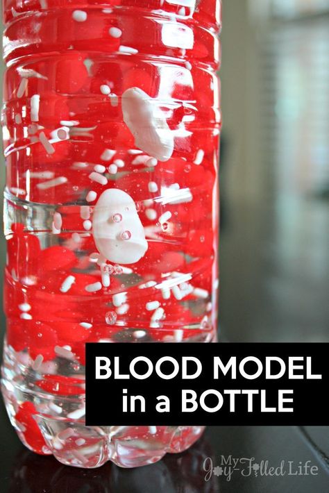 Make a blood model in a bottle to help kids learn about the components of blood. Heart Health Activities For Kids, Human Body Activities For Preschool, Human Body Systems Projects, Human Body Unit Study, Vetenskapliga Experiment, Human Body Projects, Health Lesson Plans, Body Science, Body Preschool