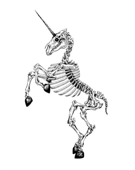 Skeleton Tattoo Design, Dancing Unicorn, Unicorn Skeleton, Animal Stencil Art, Skeleton Dancing, Tattoo Tree, Horse Skull, Skeleton Tattoo, Funny Dancing