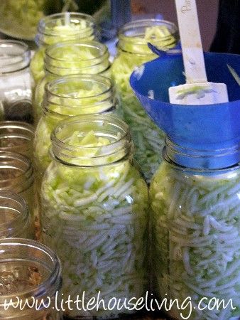 Granny canned everything, since alot of times in the winter or when it rained once you was down on our property you couldn't get out, so we canned most everything we could...Canning Zucchini Canning Shredded Zucchini, Zuchini Canning Ideas, How To Can Zucchini, Canned Zucchini Recipes, Things To Make With Zucchini, Canning Rhubarb, Canning Zucchini, Canning Veggies, Canned Zucchini