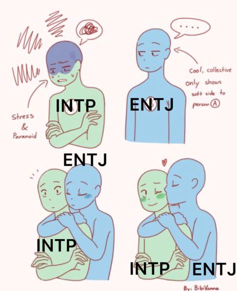 Into X Entp Ship, Intp Personality Ships, Isfp X Intp Relationship, Intp Relationship Dynamics, Entj Ship, Entj X Intp, Intp Ships, Mbti Entj, Entj Relationships