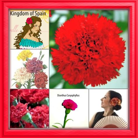 IMG_2395 Dianthus Caryophyllus, Place Branding, Plant Inspiration, World Thinking Day, Homeschool Geography, Red Carnation, National Flower, Flower Red, Southern Europe