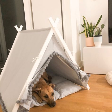 Indoor Dog House Diy, Creative Dog Bed, Dog House Inside, Cats And Rabbits, Pink Dog Beds, Dog Teepee, Diy Teepee, Teepee Bed, Dog Tent