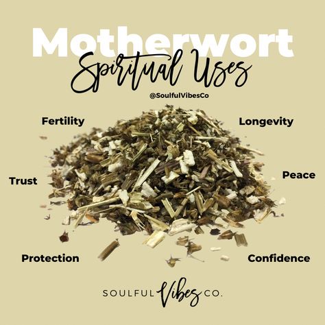 Product Name: Motherwort   Product Description: Sold By The Scoops / Herbs Comes Loose in 3x4 in Bags   Benefits: Protection, Love, Peace, Healing, Blessings, Confidence, Fertility, Optimism, Forgiveness     Who should use this product: Suitable for use with individuals that want to improve their spiritual life.   Ways Healing Blessings, Natural Remedies For Insomnia, Magickal Herbs, Magic Herbs, Magical Herbs, Ritual Bath, Herbal Healing, Herbal Magic, Herbs For Health