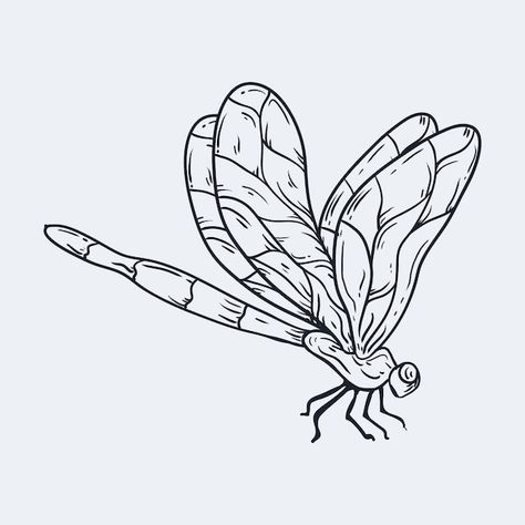 Insect Outline Drawing, Simple Dragon Fly Drawing, Dragon Flies Drawings, How To Draw A Dragonfly Easy, Dragon Fly Tattoo Stencil, Dragon Fly Drawing Simple, Dragon Fly Outline, Dragonfly Drawing Art, Dragonfly Drawing Sketch