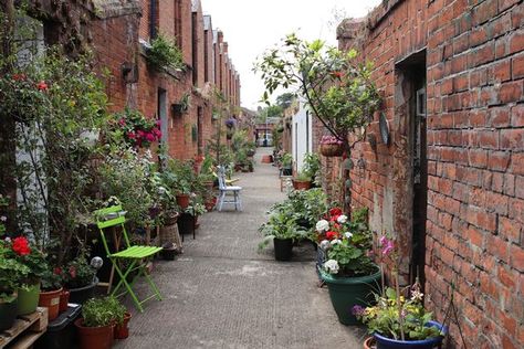 South Belfast alley completely transformed into garden paradise - Belfast Live Alleyway Garden, Garden Alley, Alley Garden, Build Outdoor Furniture, Back Alley, Garden Paradise, Belfast City, Classical Musicians, Dead Space