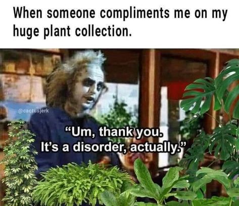 Plants Meme Funny, Gardening Memes Hilarious, Plant Memes Hilarious, Plant Funny, Plant Humor, Plant Jokes, Gardening Memes, Plant Goals, Plant Mama