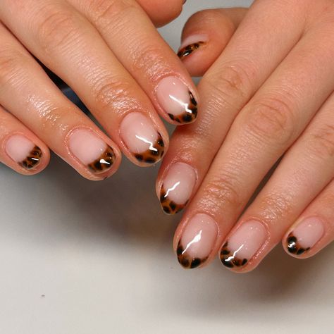 Ya these are attractive  tortoise shell blooming gel nails french tip torties aesthetic tortoiseshell nails black and brown golden hour simple classy nails pretty nail art 2024 november nails inspo Nails Black And Brown, Tortoise Shell French Tip Nails, Simple Classy Nails, Gel Nails French Tip, Blooming Gel Nails, Tortoiseshell Nails, Tortoise Nails, French Tip Gel Nails, Gel Nails French