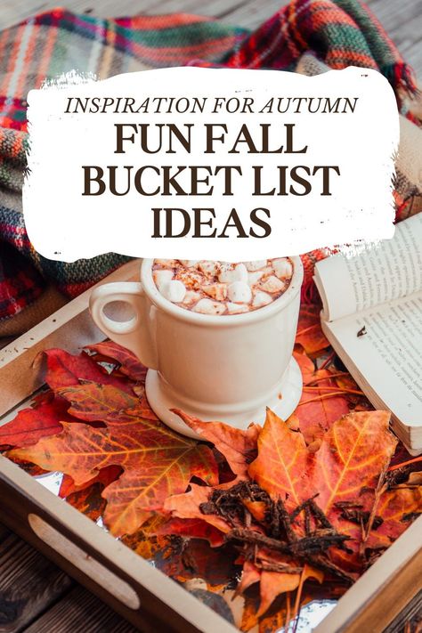 Discover fun fall bucket list ideas for family activities and ideas for autumn in our must-do fall bucket list. From pumpkin patches to fall crafts, we have you covered! Pumpkin Spice Doughnuts, Fall Reading List, Caramel Apples Homemade, Fall Camping, Fall Reading, Fun Fall Activities, Pumpkin Patches, Fall Bucket List, Halloween Books