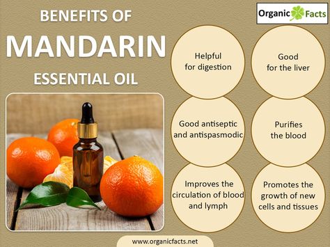 The health benefits of Mandarin Essential Oil can be attributed to its properties like anti septic, anti spasmodic, circulatory, cytophylactic, depurative, digestive, hepatic, nervous relaxant, sedative, stomachic and tonic. Mandarin is a citrus fruit which is also known as Mandarin Orange or Tangerine. But there is a slight difference. Mandarin is more yellow in colour and come with pips while Tangerine is more orange in colour and is without pips. So, Mandarin Essential Oil is also called ... Terra Essential Oils, Lower Your Blood Pressure, Mandarin Essential Oil, Doterra Essential Oils Recipes, Fruit Benefits, Essential Oil Blends Recipes, Essential Oil Benefits, Liver Health, Oil Benefits