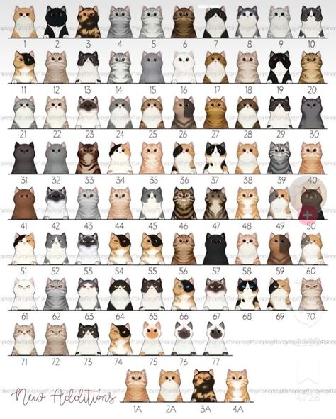 types of cats
types of cats breeds
types of cats breeds chart
types of cats breeds pictures
types of cats numbered
types of cats drawing
types of cats colors
types of cats breeds chart numbered
types of cats with numbers
types of cats chart
types of cats loaf
types of cats breeds most popular
Cat behavior
How cats hunt their prey
All Cat breeds list
Characteristics of cat
Article about cat
Cat Encyclopedia
Top 100 cat breeds
Burmese Cat
all types of cats
different types of cats
all types of cats Cat Types Chart, Cat Number Trend, Different Kinds Of Cats, Different Cat Colors, Cat Face Type, Cats Types, Cat Chart, Type Of Cats, Cats Colors