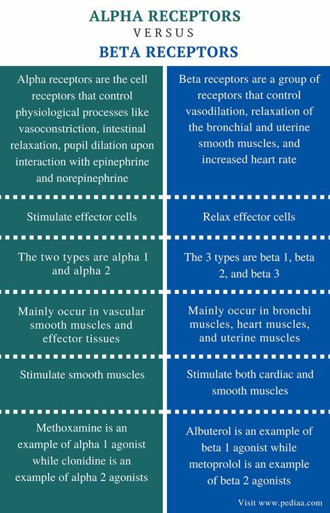 Difference Between Alpha and Beta Receptors | Definition, Mechanism, Role, Differences Beta 1 And Beta 2 Receptors, Alpha 1 Alpha 2 Beta 1 Beta 2 Nursing, Alpha And Beta Receptors Cheat Sheets, Alpha And Beta Receptors, Beta Receptors, Paramedic School, Nursing Information, Psychology Notes, Pharmacology Nursing