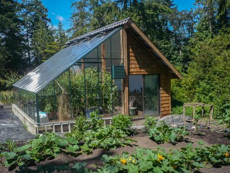 Design Your Own Greenhouse with BC Greenhouses Shed With Greenhouse Attached, Shed With Greenhouse, Attached Greenhouse, Farmhouse Backyard, Lean To Greenhouse, Indoor Greenhouse, Small Patio Garden, Diy Shed Plans, Apartment Patio