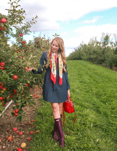 Where to go apple picking near Toronto + What to wear Apple Picking Outfit Summer, Toronto Fall, Apple Orchard Outfit, Orchard Outfit, Fall Apple Picking, Farm Outfit, Autumn Coats, Apple Picking Outfit, Fall Pics