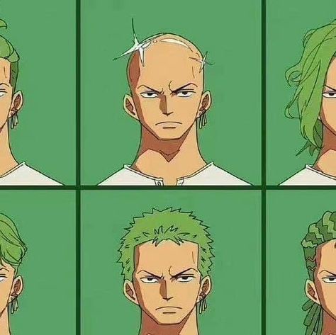 Nhạ Trần on Instagram: "what hairstyle suits zoro 🤔🤔 #onepiece #anime #animeedits #sihyunzx99 #zoro" Zoro Haircut, Zoro Hairstyle, One Piece Funny, Roronoa Zoro, Sketch Book, Hair Cuts, Sketch, One Piece, Hair Styles