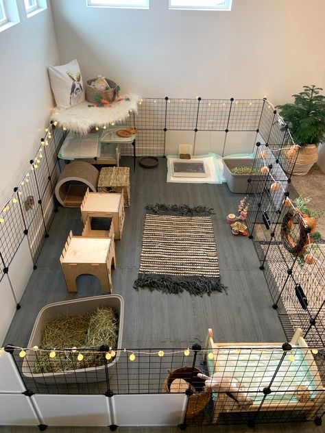 Rabbit Cage Setup, Indoor Bunny House, Diy Bunny Cage, Indoor Rabbit House, Diy Bunny Toys, Indoor Rabbit Cage, Diy Guinea Pig Cage, Bunny Cage, Rabbit Habitat