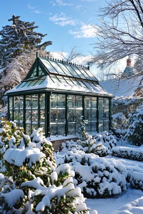 How to Build a Backyard Greenhouse for Year-Round Gardening Green House In Winter, Greenhouse Winter, Underground Greenhouse, New England Winter, Greenhouse Construction, Saved Pictures, Small Urban Garden, Passive Solar Heating, Winter Greenhouse