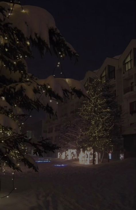 Snow And Christmas Lights, Winter Backdrops, I Love Winter, Winter Love, Winter Vibes, Winter Scenery, Christmas Wonderland, Christmas Vibes, Christmas Night