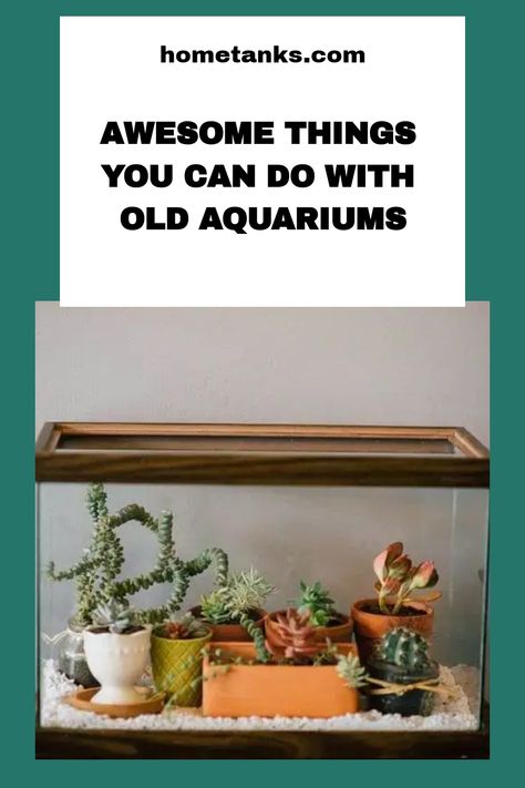 If you want to get rid of your old aquarium, here's a guide for you how to get the most out of your old tank. This article will give you variety ofoptions available for the size and type of aquarium you have. #aquariumcare #aquariumideas Things To Do With Old Fish Tanks Ideas, Upcycle Aquarium Ideas, Succulent Aquarium Garden, What To Do With Old Fish Tanks, Repurpose Aquarium Tanks Ideas, Aquarium Repurpose Ideas, Terrarium Ideas Fish Tank, Terrarium In Fish Tank, Repurpose Fish Tank Ideas