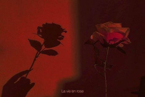 Photo Gif Illustration, A Single Rose, Food Makeup, Red Aesthetic Grunge, I See Red, Disney Instagram, Rosé Aesthetic, Red Wall, Food Diy