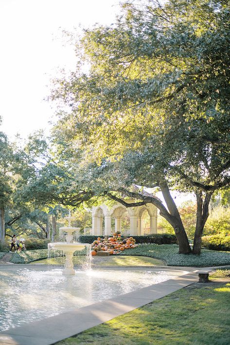 Dallas Couple Photoshoot, Dallas Engagement Photo Locations, Dallas Arboretum Engagement Photos, Dallas Engagement Photos, Engagement Look, Afternoon Wedding, Engagement Bride, Dallas Wedding Venues, Dallas Arboretum