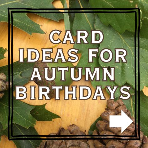 🎨 Craft your own perfect Autumnal Birthday Card! 🎉 Imagine sending a birthday card that's not just cute, but lovingly made by you. 🍁 I've picked out this selection of DIY card kits to make that happen. Featuring 5 adorable animal designs created over the last few years, these kits are perfect for those Fall Birthdays. 🦊 Zorro the Fox - This sly friend is ready to bring some woodland magic to their special day. 🦔 Hedgehog Kisses - Spread best wishes and hedgehog kisses with this cuddly pair... Diy Fall Birthday Cards, Fall Birthday Cards, Animal Designs, Fall Birthday, Birthday Diy, Birthday Cards Diy, Card Kits, Fall Cards, Best Wishes