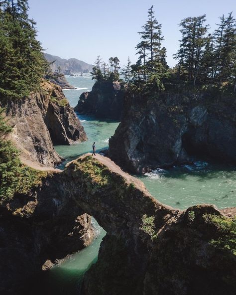 Travel + Leisure on Instagram: “Samuel H. Boardman State Scenic Corridor has all the beauty of a national park, and none of the crowds 🙏 #tlpicks courtesy of @mena_shootz” West Coast Road Trip, Drone Photography, July 4, Pretty Places, Travel And Leisure, Nature Photos, Insta Travel, All Pictures, Travel Blogger