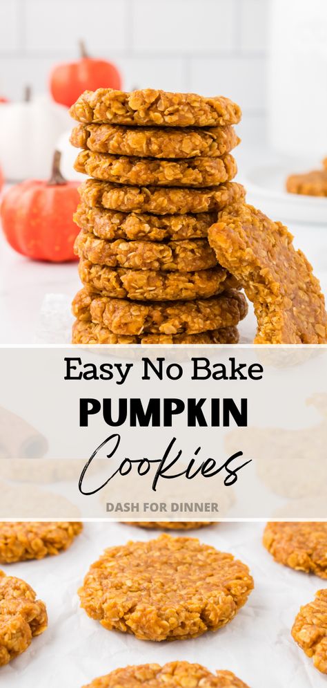 October No Bake Recipes, 5 Ingredient Pumpkin Cookies, No Bake Pumpkin Cookies Oatmeal, No Bake Pumpkin Pie Bites, Pumpkin No Bake Recipes, No Bake Pumpkin Breakfast Bites, Pumpkin Spice No Bake Cookies, Pumpkin Desserts Without Eggs, Fast Pumpkin Desserts