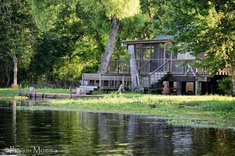 Louisiana Bayou Homes, Eves Bayou Aesthetic, Bayou Decor, Folio Inspiration, Bayou House, Crawdads Sing, Bayou Country, Paranormal Romance Novels, Louisiana Bayou