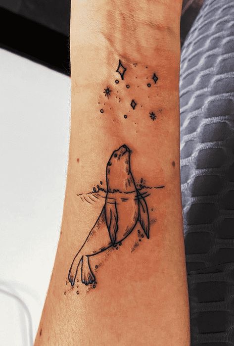 Small Sea Lion Tattoo, Sea Lion Tattoo Ideas, Small Seal Tattoo, Water Animals Tattoo, Leg Tattoo Simple, Seal Tattoo Simple, Seal Tattoo Design, Sea Lion Drawing, Marine Animal Tattoo