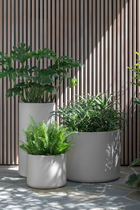 Nyc Terrace, Pot Cluster, Mall Landscape, In House Plants, Terrace Inspiration, Japanese Garden Style, Front Door Plants, Modern Planters Outdoor, Pots For Indoor Plants