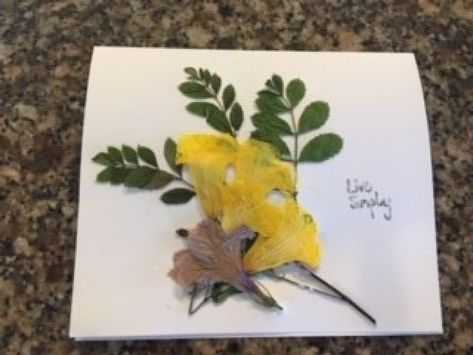 Using dried leaves and flowers, I made this greeting card from a package of cards (with imprinted information) someone was giving away. Dry Leaves, Dry Leaf, Stamp Pad, Fun Crafts, Dried Flowers, Greeting Card, Card Stock, Craft Projects, Greeting Cards