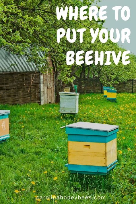 Where to put your beehive.  You dont have to have a lot of space for a hive or two. #beekeeping Backyard Beehive, Bee Hive Plans, Backyard Bee, Beekeeping For Beginners, Raising Bees, Backyard Beekeeping, Honey Bee Hives, Bee Farm, Bee Garden