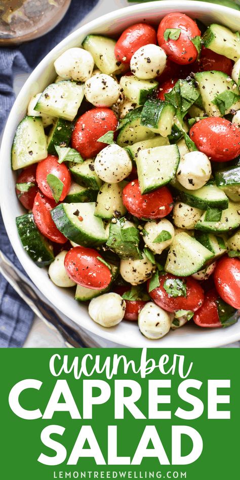 Caprese Salad With Cucumber, Cucumber Caprese Salad, Salad Caprese, Ensalada Caprese, Caprese Salad Recipe, Resep Salad, Mozzarella Salad, Fresh Salad Recipes, Cucumber Recipes Salad