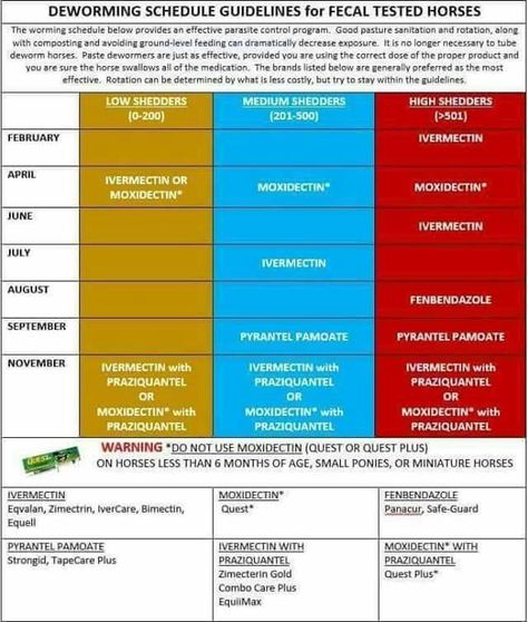 Horse Worming Schedule, Business Ideas For Women Startups, Healthy Horses, Fly Spray, Horse Info, Horse Ideas, Horse Treats, Horse Tips, Pony Club