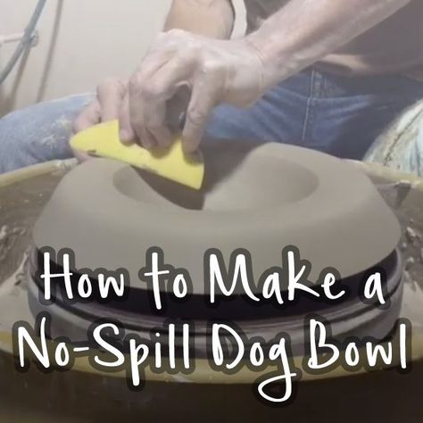 How to throw a no-spill dog bowl! Dog Bowls Ceramic, Pottery Dog Bowl, Dog Pottery, Chip Bowl, Ceramic Dog Bowl, Porcelain Dog, Farmhouse Pottery, Pottery Workshop, Ceramic Dog