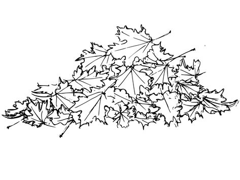 Pile Of Leaves Drawing, Leaf Pile Illustration, Fall Leaves Sketch, Fall Tree Drawing Autumn Leaves, Autumn Leaves Sketch, Leaf Pile Drawing, Fallen Leaves, Falling Leaves Drawing, Autumn Leaves Drawing