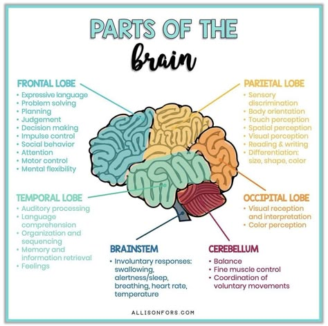 Medical Speech Language Pathology, Acute Care Slp, Slp Praxis Cheat Sheets, Slp Praxis Study Guide, Speech Language Pathology Aesthetic, Slp Anatomy, Speech Pathology Humor, Speech Pathology Grad School, Slp Praxis