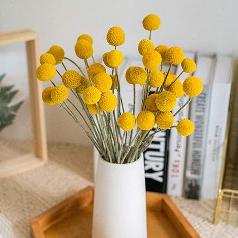 Diy Flower Arrangements Home, Tall Vase Decor, Billy Balls, Billy Buttons, Dry Plants, Flower Arrangements Diy, Flower Branch, Wedding Arrangements, Dried Flower Bouquet