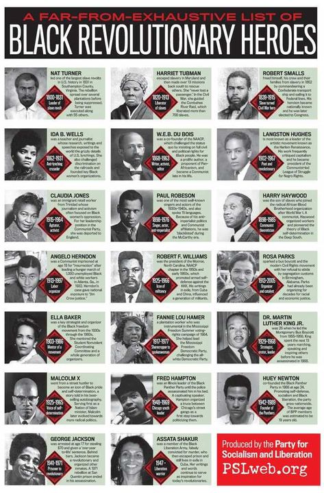 Historical Poster, Black Revolution, African American History Facts, Black Fact, By Any Means Necessary, Black Knowledge, History Education, Inventors, African History