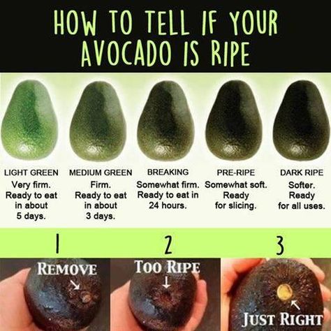 Embedded Avocado Dessert, Resep Smoothie, Avocado Salad Recipes, Food Info, Easy Salad Recipes, Avocado Recipes, Food Facts, Avocado Salad, Easy Salads